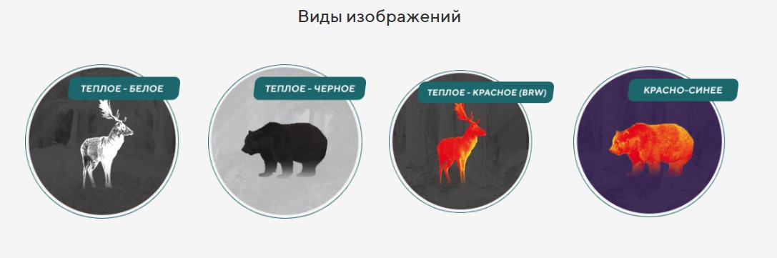 фото целей на тепловизоре