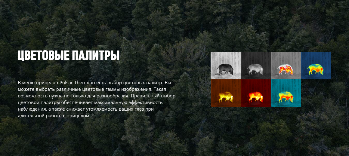 картинка интерфейса дисплея прицела Thermion XQ38