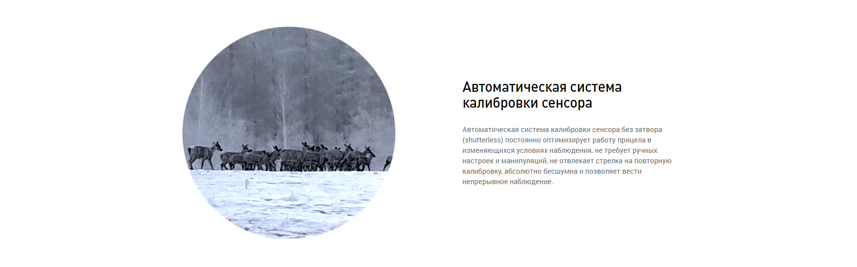 Регулировка и кнопки Dedal Venator