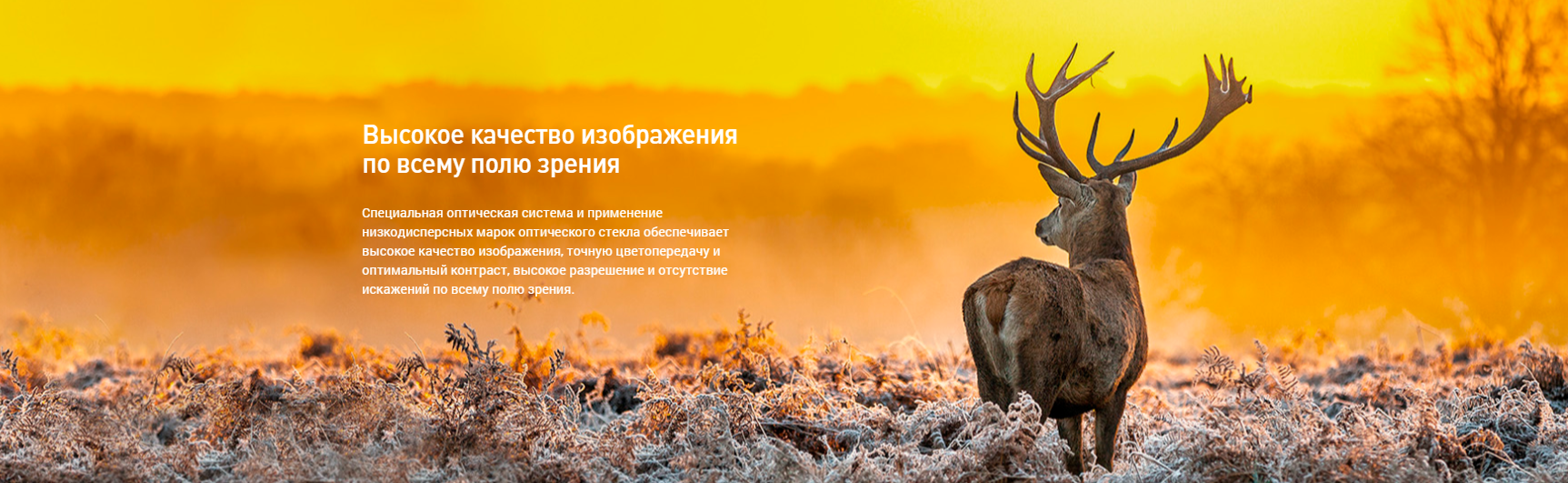 Оптика прицела DH 7-28x56