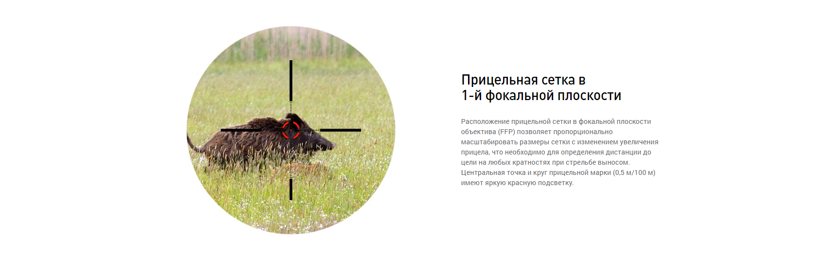 Оптика Dedal DHF 1-7x24