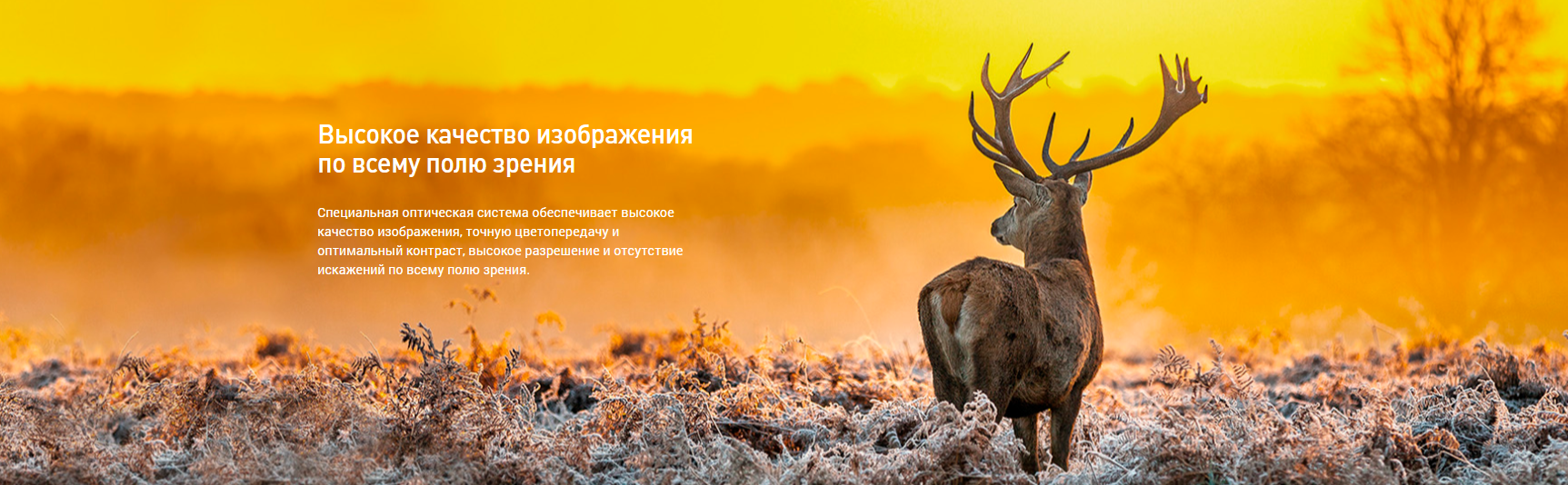 Регулировки прицела DHF 3-12x50