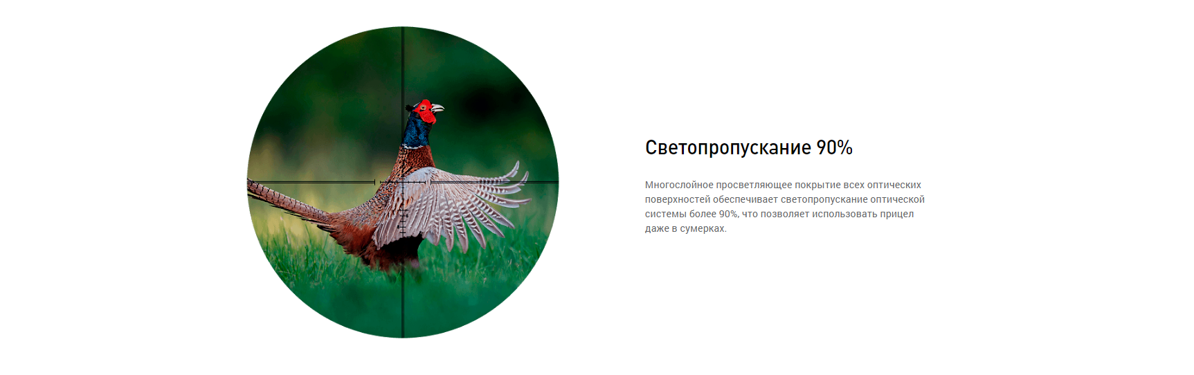 Сетчатый прицельный узел Stalker