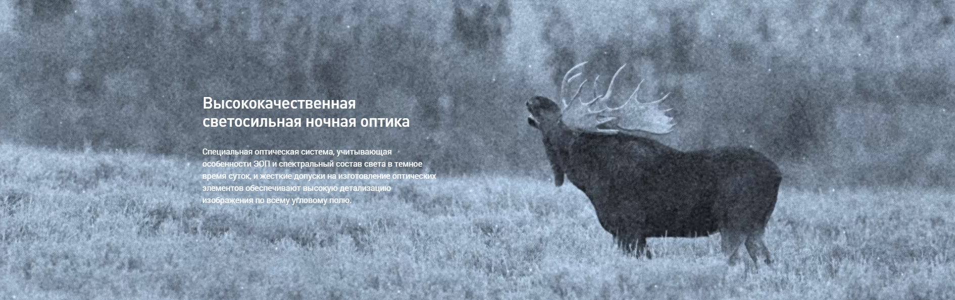 Очки Dedal DVS-8A в стандартной комплектации