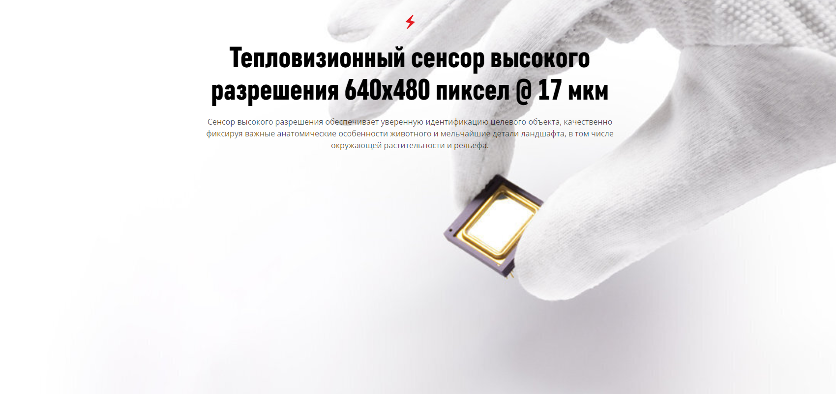 Общий вид тепловизора Pulsar Helion 2 XP50 Pro