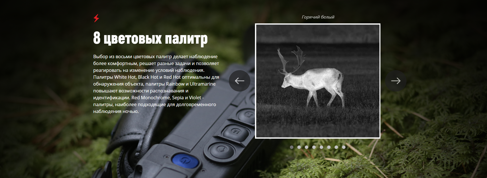 Изображение цели на дисплее Helion 2 Pro