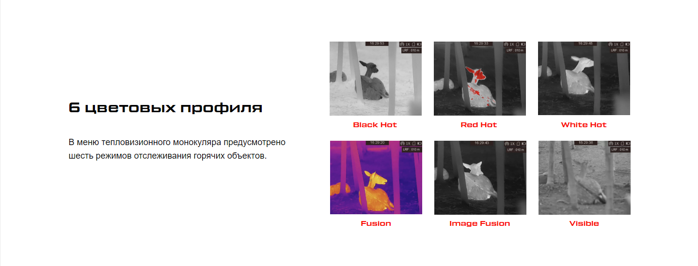 Передняя часть GRYPHON GH25