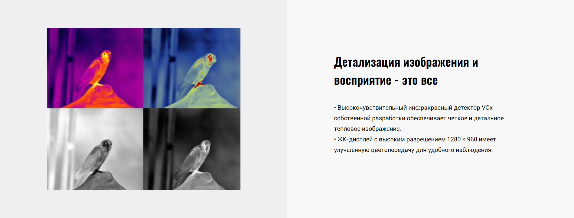GUIDE TD210 дисплей