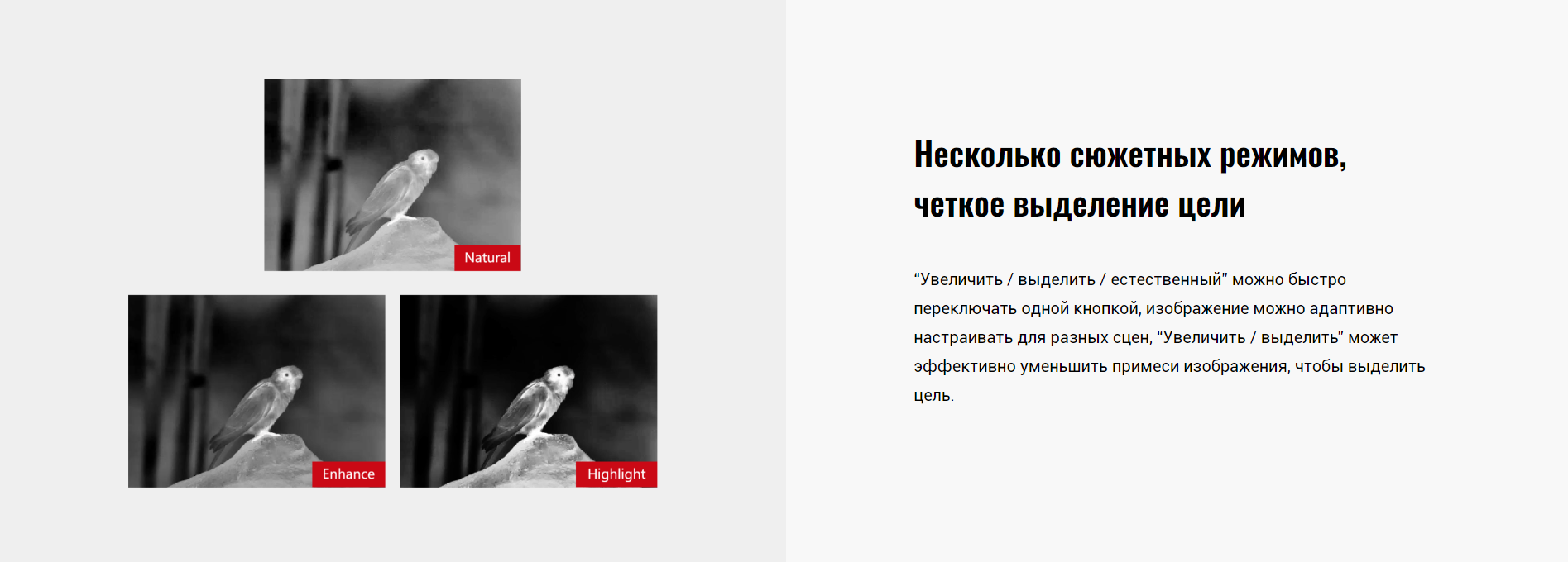 передача изображения GUIDE TN650 на телефон