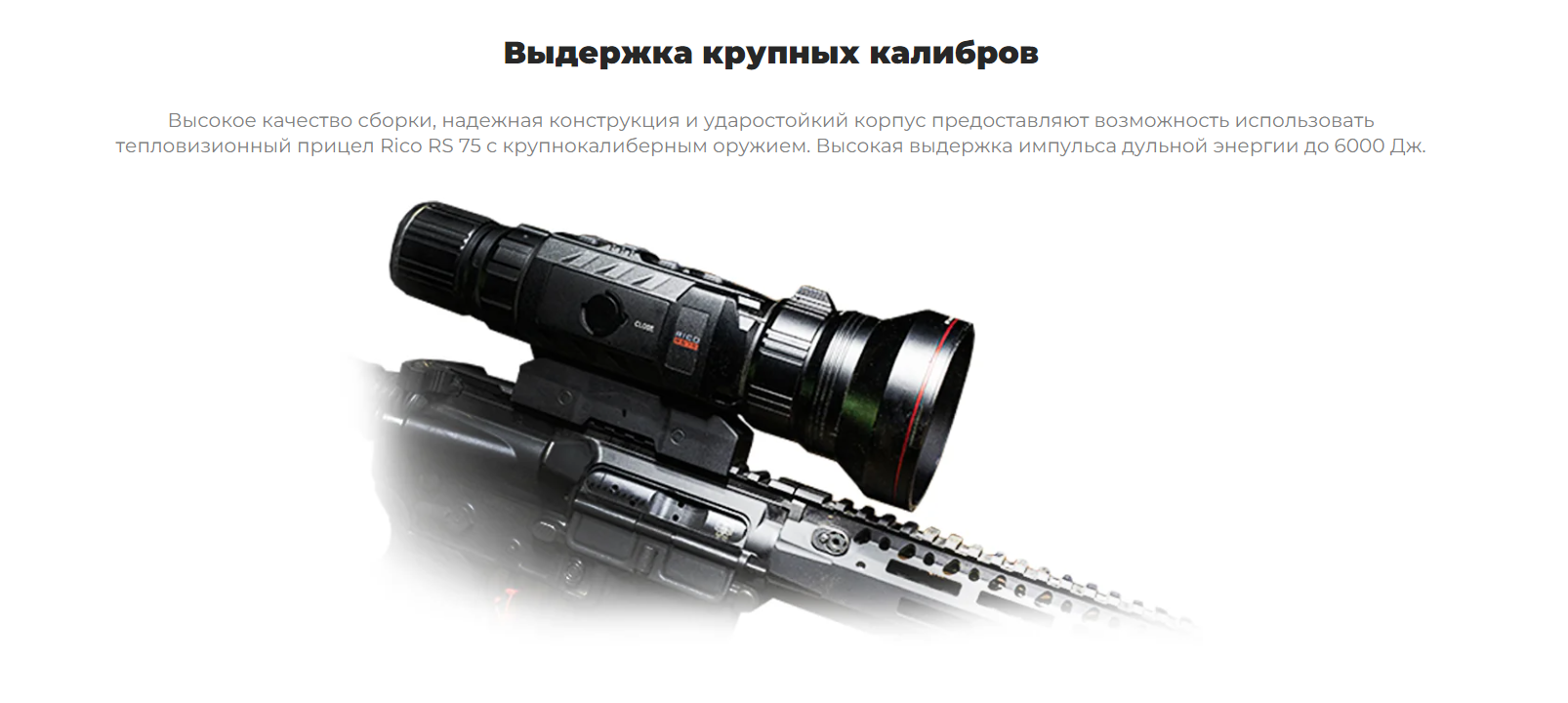 тепловизионный прицел iRay Rico RS 75