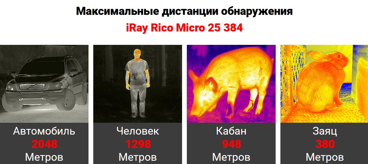 iRay Rico Micro 25 384