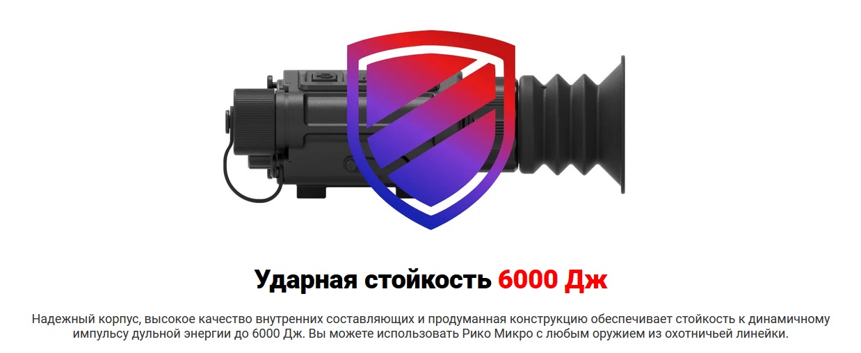 сравнение характеристик iRay Rico Micro 25 384