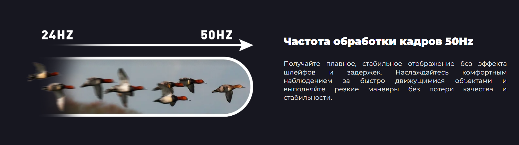 фото iRay Zoom ZH 50 V2