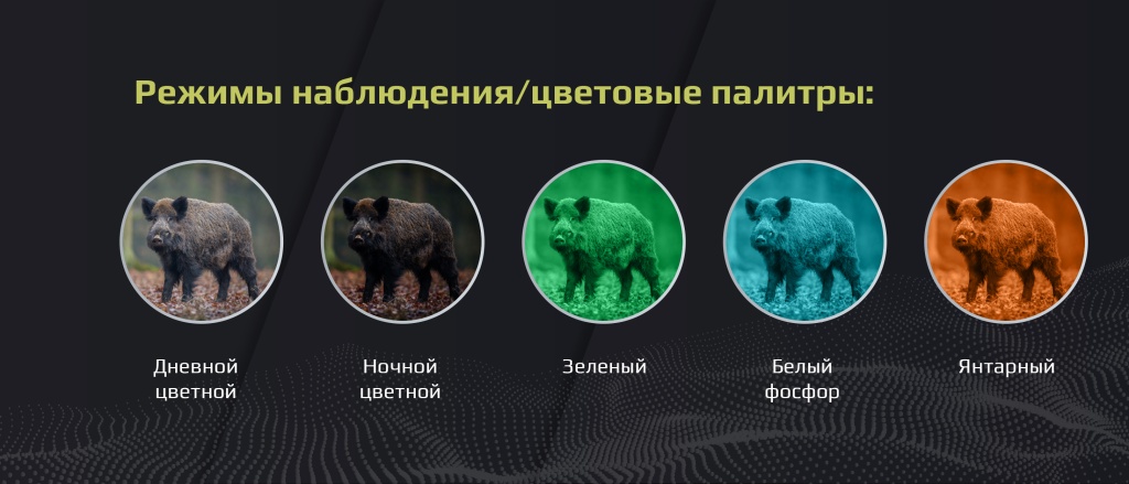 ночной бинокль Arkon NVD Pro BP36G