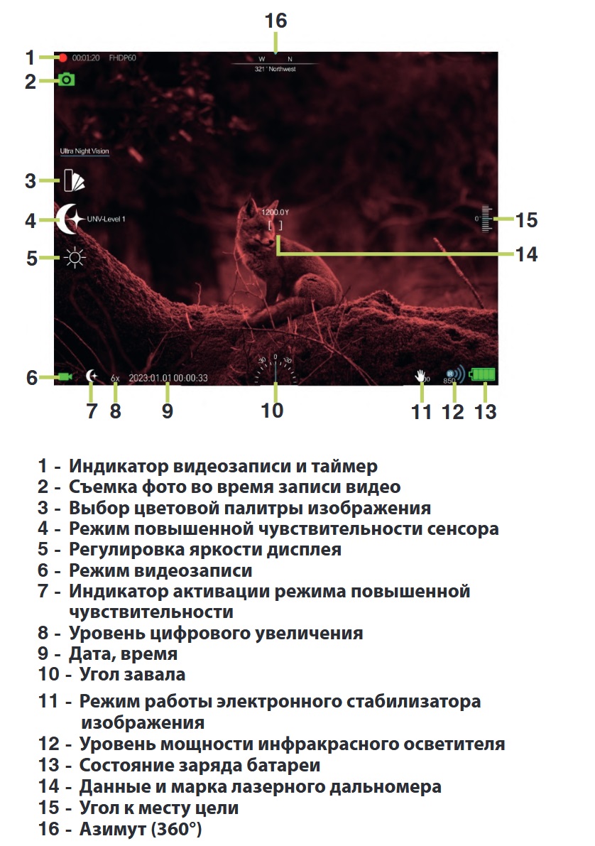пример качества картинки ночного бинокля Arkon NVD Pro BP36G