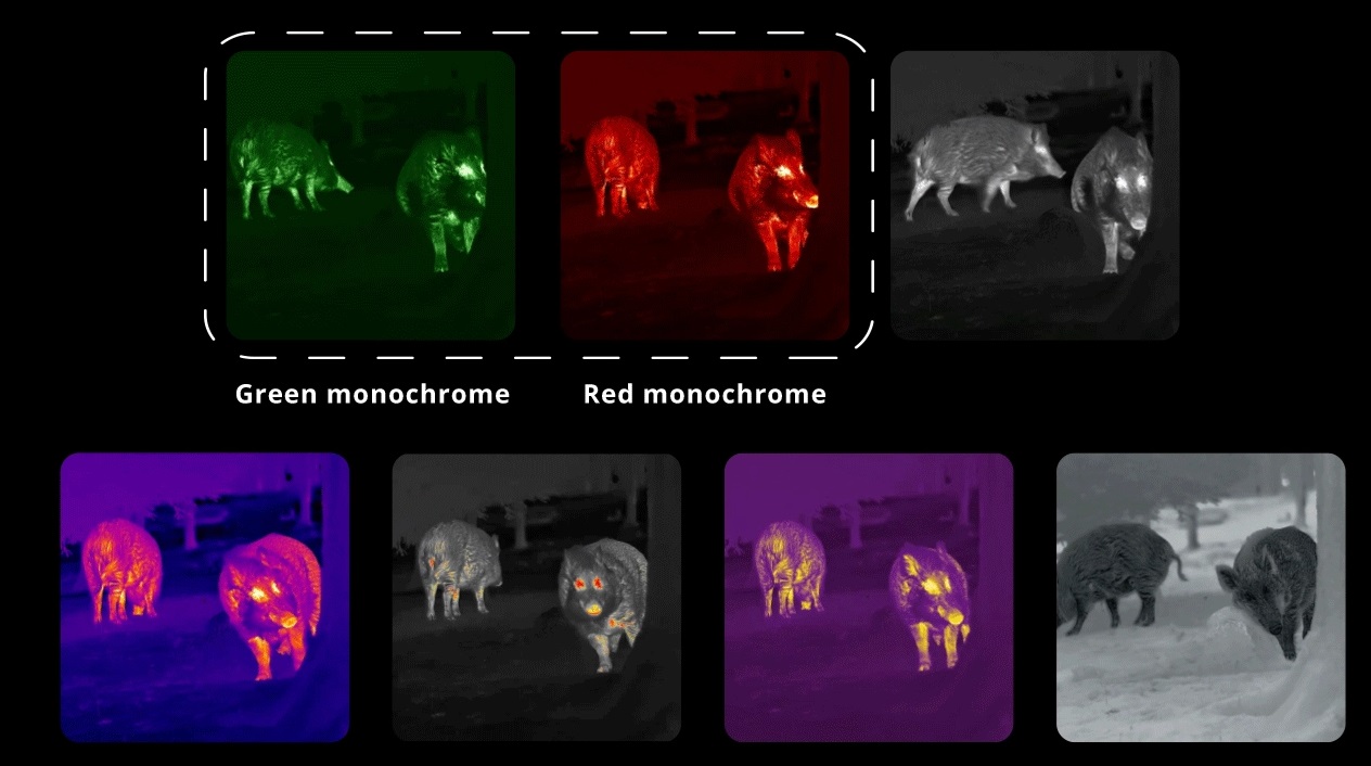 изображение iRay Nocpix Lumi L35R