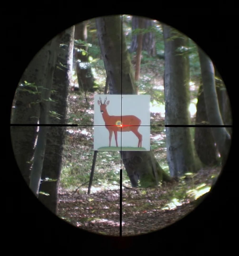 фото Steiner Nighthunter Xtreme 2-10x50