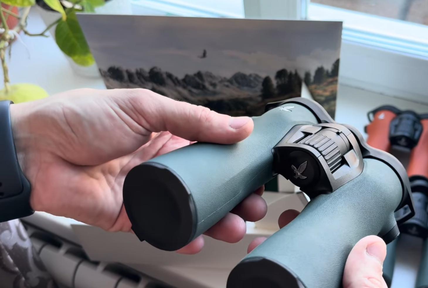 особенности Swarovski NL Pure 8x42 green
