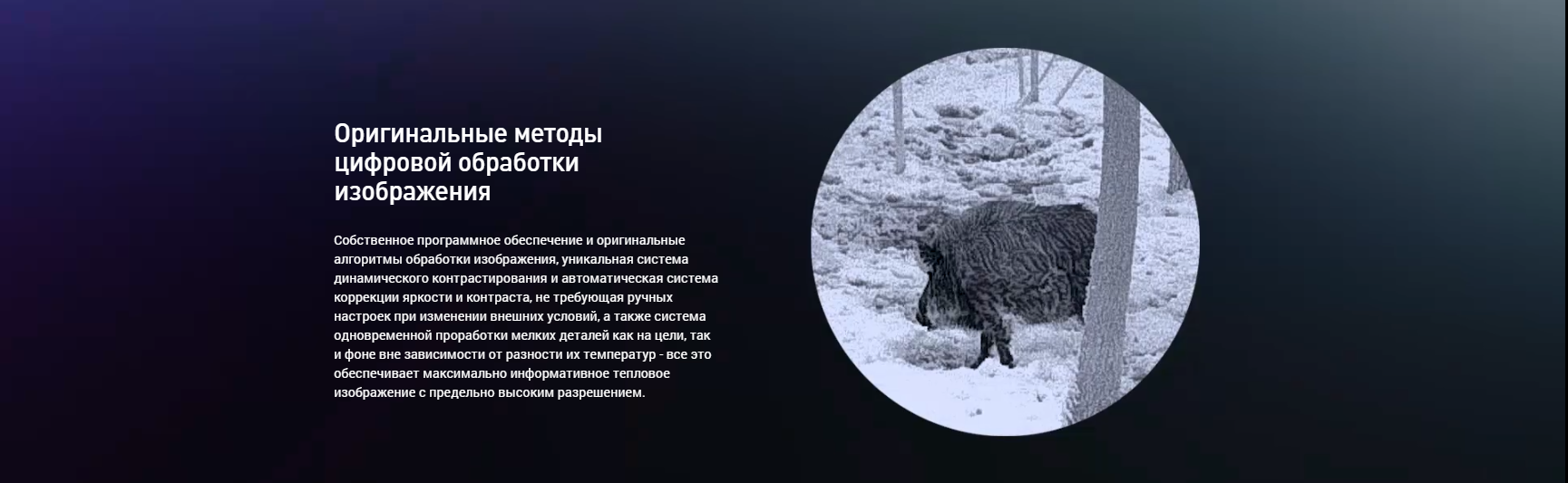 DEDAL TRACKER-T2.380 – вид прицела под углом