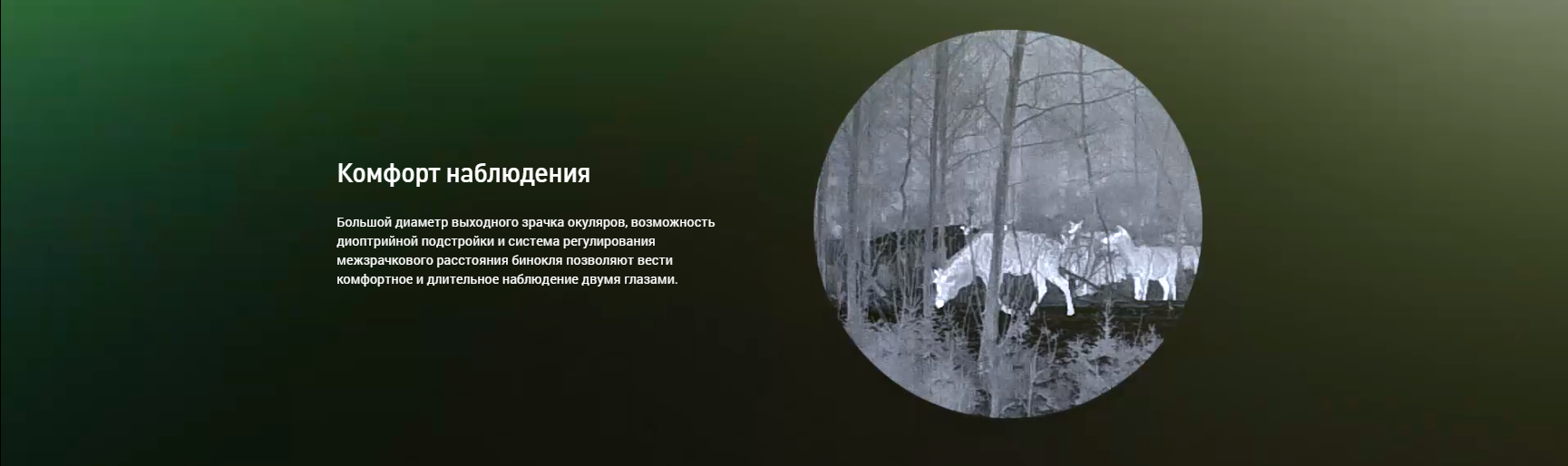 DEDAL TRACKER-T2.380 – фото прицела на фоне коробки