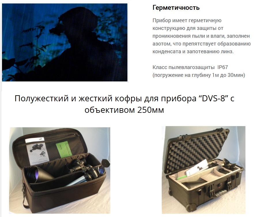 особенности модели Dedal DVS-8C bw